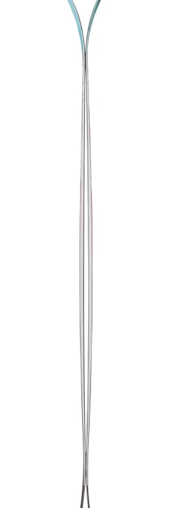 Ski Nordica Santa Ana 87