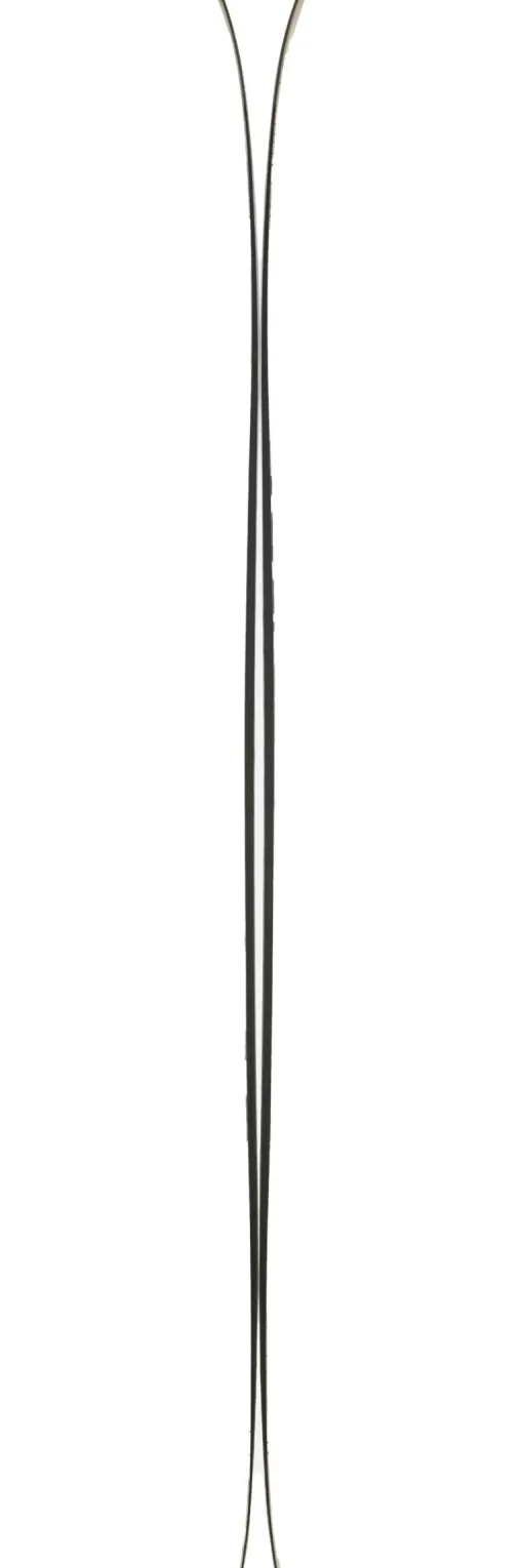 Ski Volkl Revolt 101