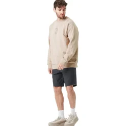 Sweat Picture Terra Crew Plaza Taupe
