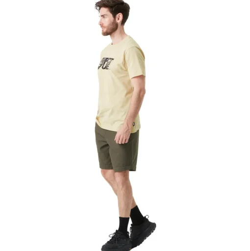 Tee-shirt Picture Basement Wealth Tee Shirt Wood Ash